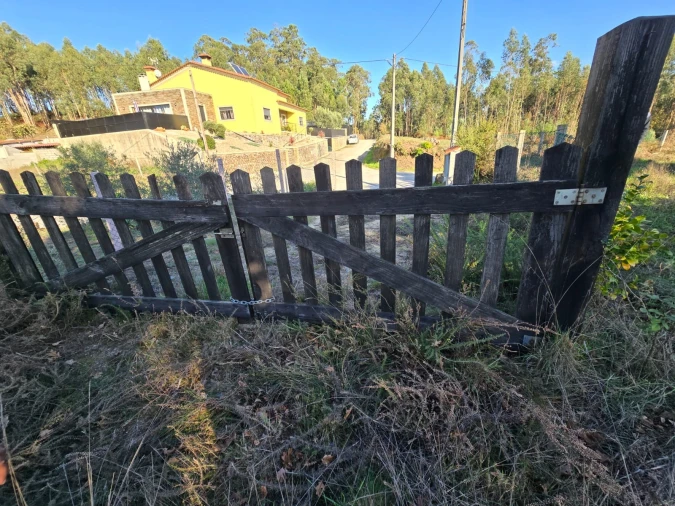 Quinta T1 para Venda em Santa Comba Dão e Couto do Mosteiro Foto 13
