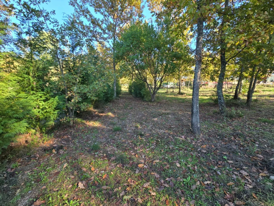 Quinta T1 para Venda em Santa Comba Dão e Couto do Mosteiro Foto 23