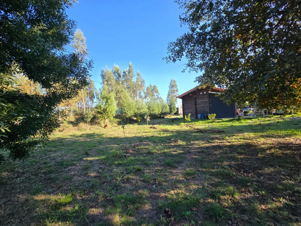 Quinta T1 para Venda em Santa Comba Dão e Couto do Mosteiro Foto 9