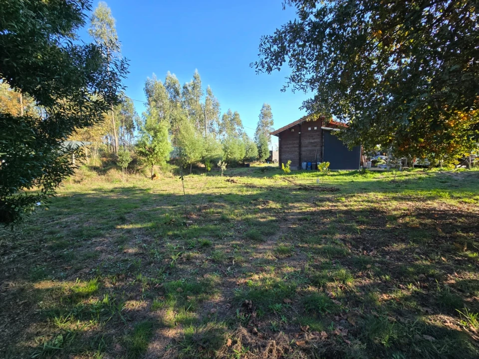 Quinta T1 para Venda em Santa Comba Dão e Couto do Mosteiro Foto 10