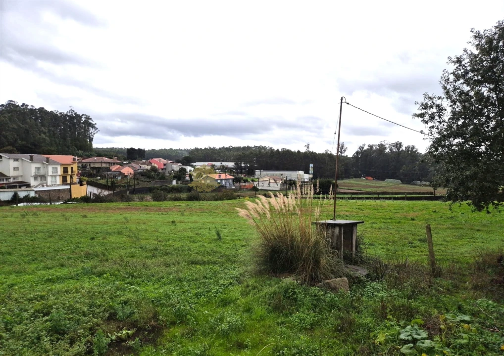 Terreno Agricola ou Rústico para Venda em Gião Foto 9