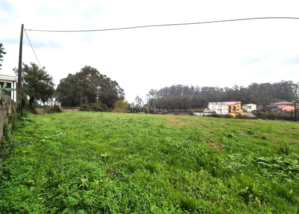 Terreno Agricola ou Rústico para Venda em Gião Foto 8