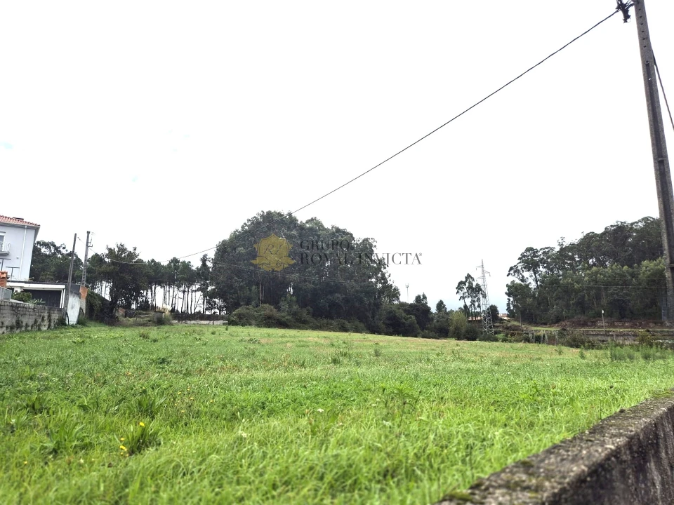 Terreno Agricola ou Rústico para Venda em Gião Foto 6