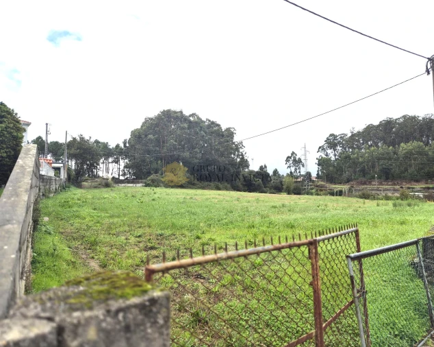 Terreno Agricola ou Rústico para Venda em Gião Foto 5