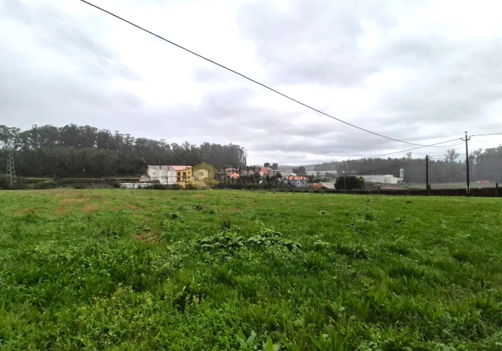 Terreno Agricola ou Rústico para Venda em Gião Foto 7