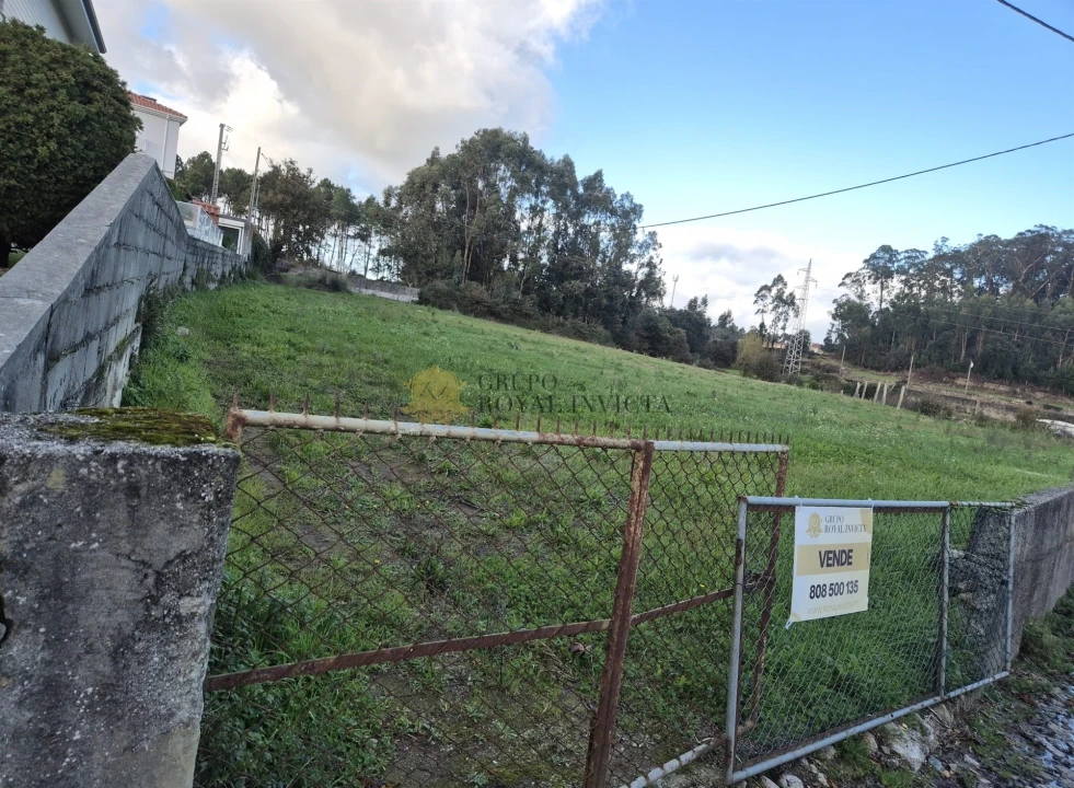 Terreno Agricola ou Rústico para Venda em Gião Foto 2