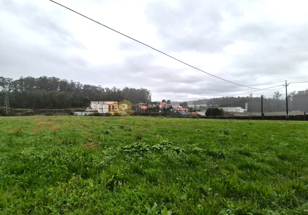 Terreno Agricola ou Rústico para Venda em Gião Foto 7