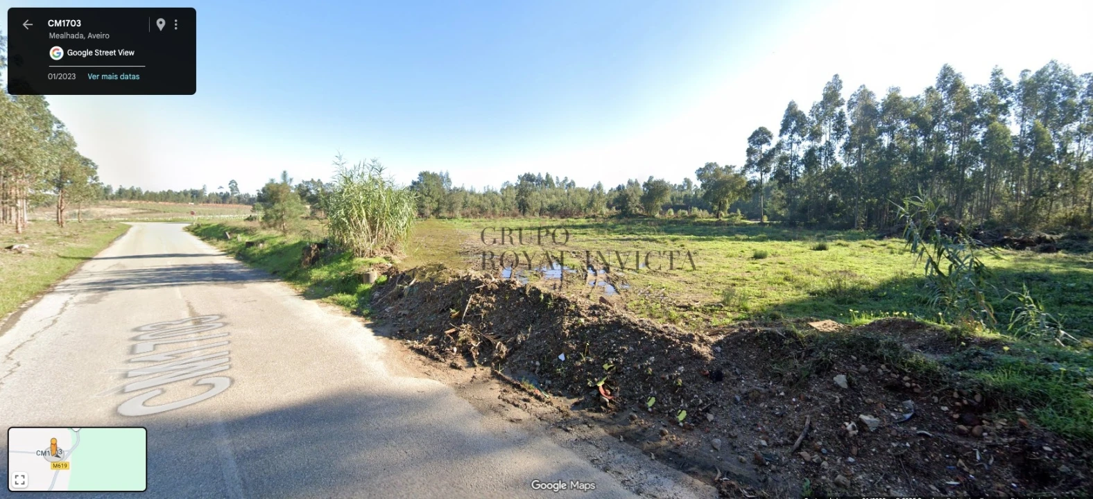 Terreno Agricola ou Rústico para Venda em Mealhada, Ventosa do Bairro e Antes Foto 2