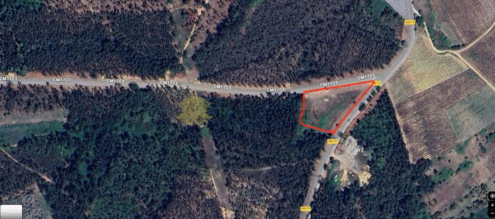 Terreno Agricola ou Rústico para Venda em Mealhada, Ventosa do Bairro e Antes Foto 7