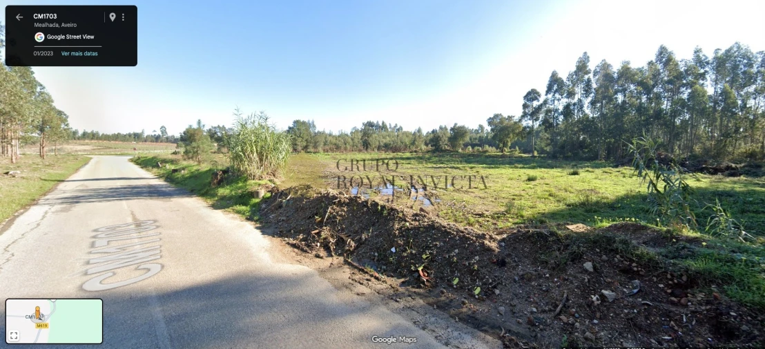 Terreno Agricola ou Rústico para Venda em Mealhada, Ventosa do Bairro e Antes Foto 2