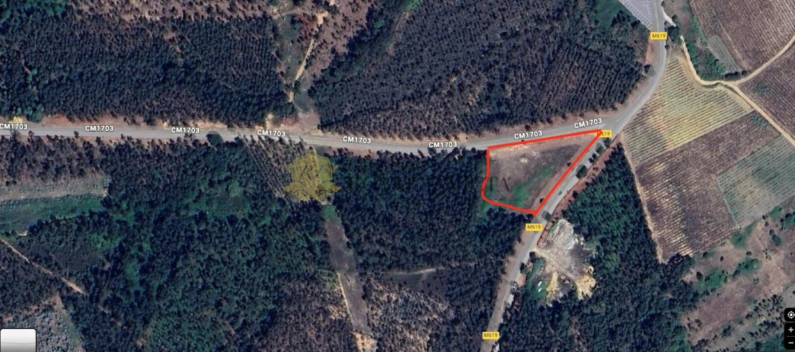 Terreno Agricola ou Rústico para Venda em Mealhada, Ventosa do Bairro e Antes Foto 7