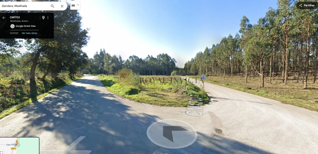 Terreno Agricola ou Rústico para Venda em Mealhada, Ventosa do Bairro e Antes Foto 5