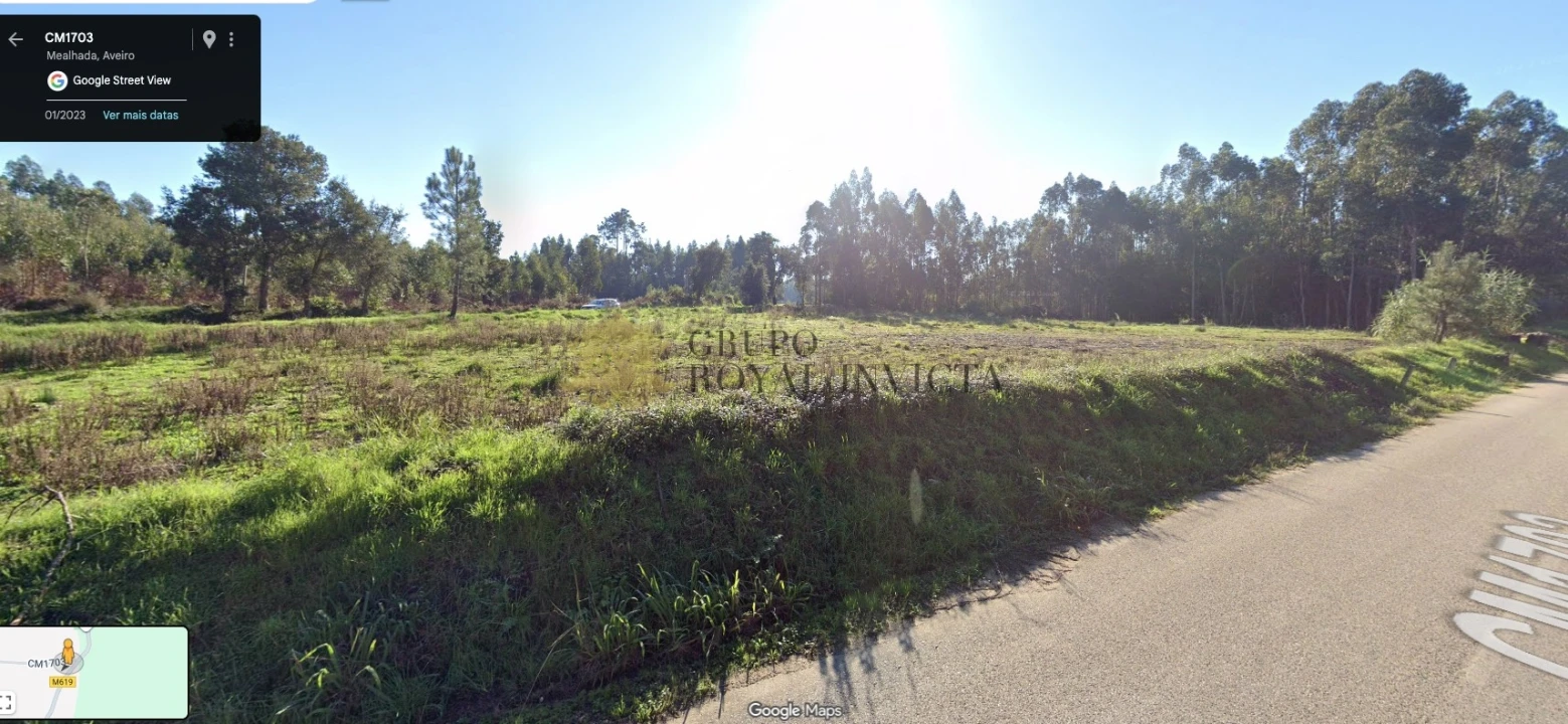 Terreno Agricola ou Rústico para Venda em Mealhada, Ventosa do Bairro e Antes Foto 3