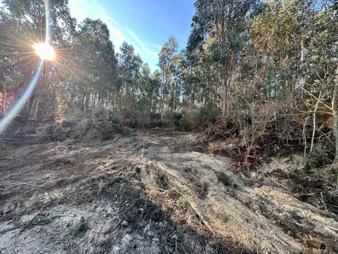Terreno para Venda em Vilarinho Foto 5