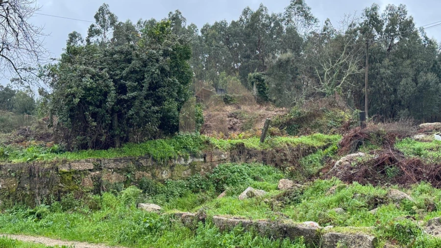 Terreno para Venda em Vilarinho Foto 10