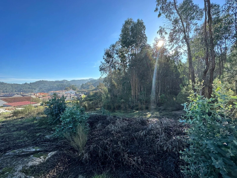 Terreno para Venda em Vilarinho Foto 8
