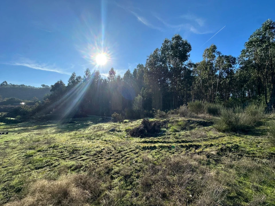 Terreno para Venda em Vilarinho Foto 2