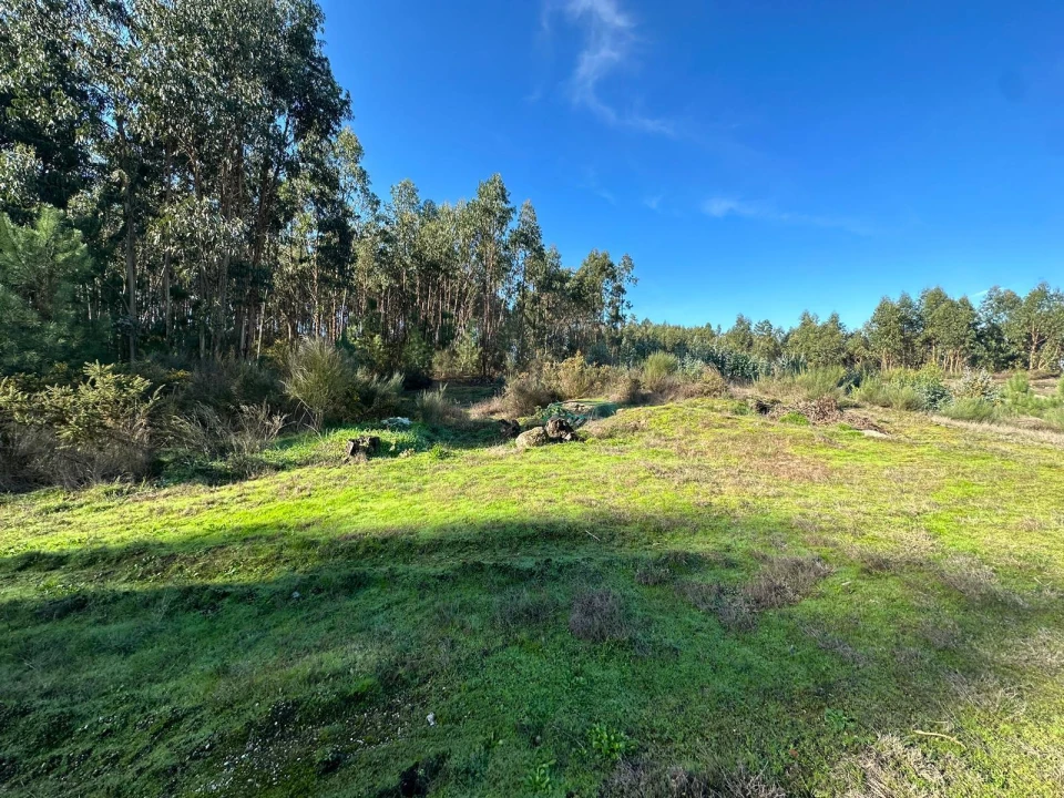 Terreno para Venda em Vilarinho Foto 1