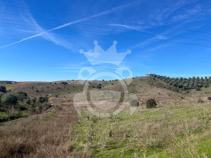 Terreno para Venda em Ervidel Foto 4