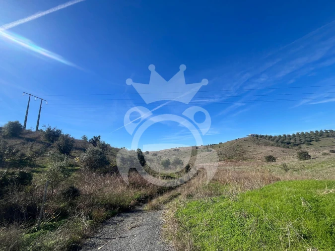 Terreno para Venda em Ervidel Foto 10