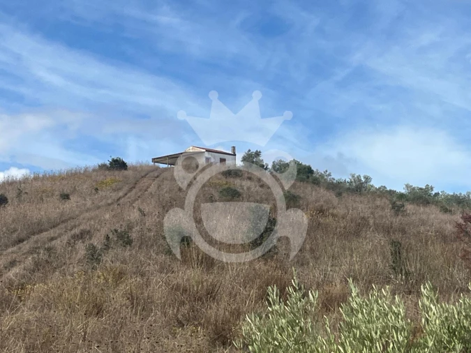 Terreno para Venda em Ervidel Foto 3