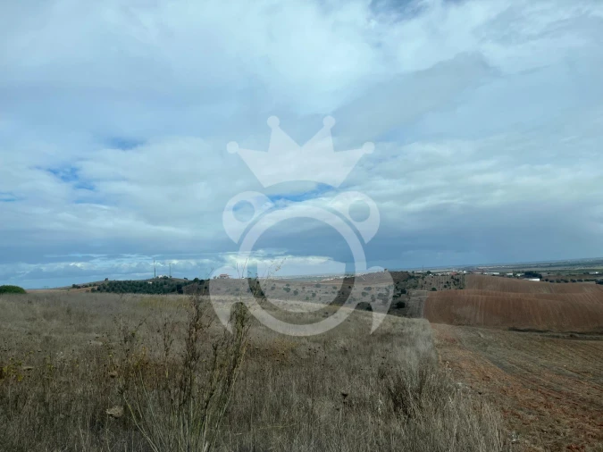 Terreno para Venda em Ervidel Foto 7