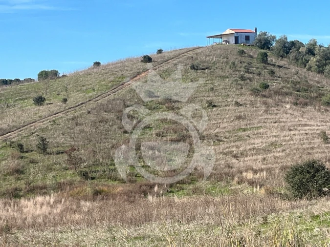 Terreno para Venda em Ervidel Foto 1