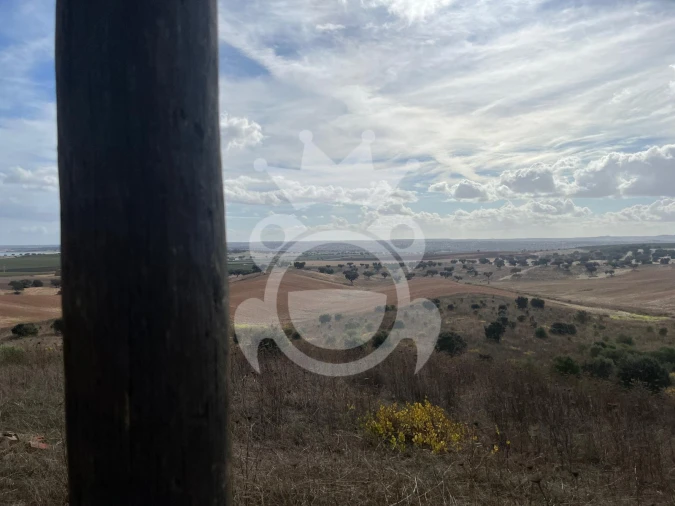 Terreno para Venda em Ervidel Foto 12