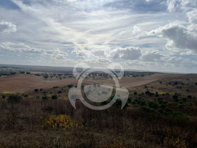 Terreno para Venda em Ervidel Foto 14