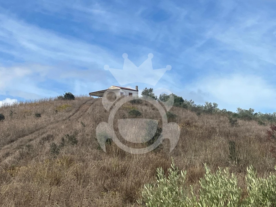 Terreno para Venda em Ervidel Foto 3