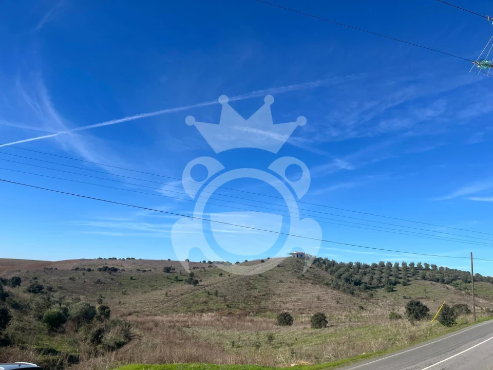 Terreno para Venda em Ervidel Foto 17