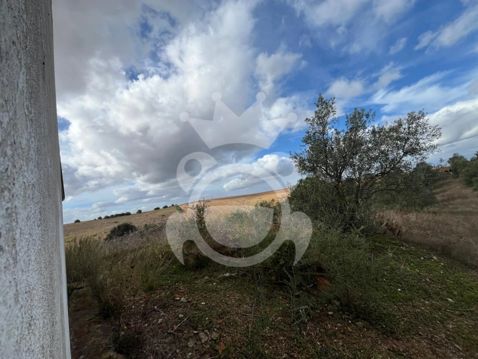 Terreno para Venda em Ervidel Foto 6