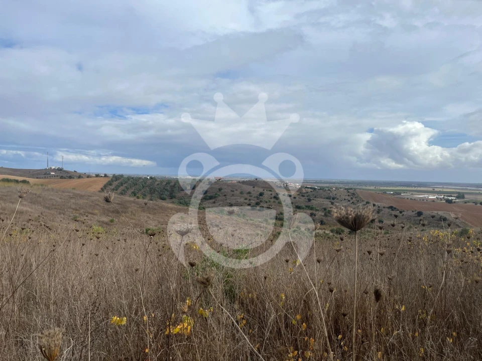 Terreno para Venda em Ervidel Foto 5