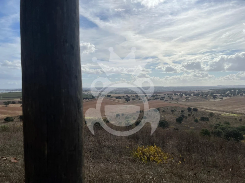 Terreno para Venda em Ervidel Foto 12