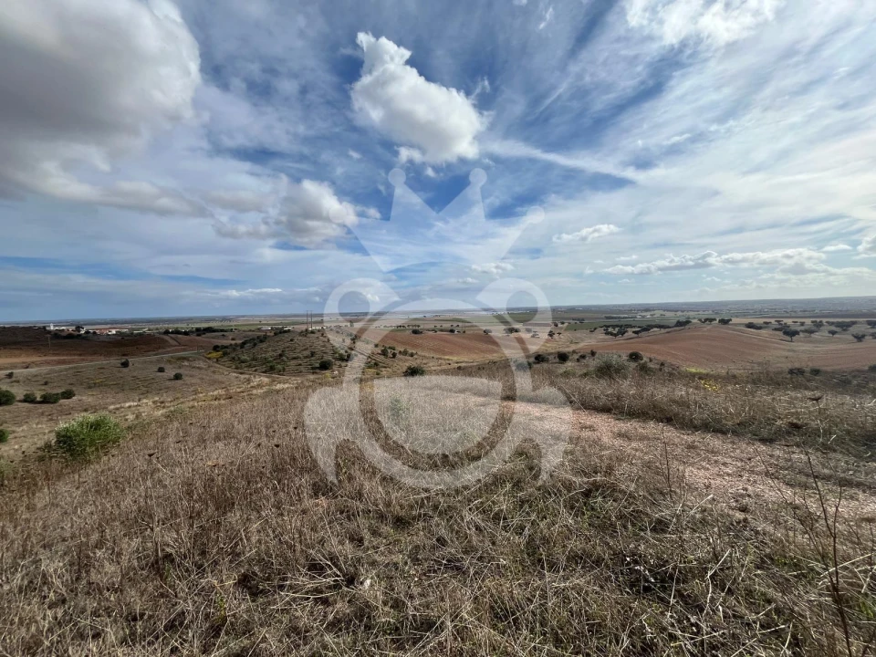 Terreno para Venda em Ervidel Foto 18