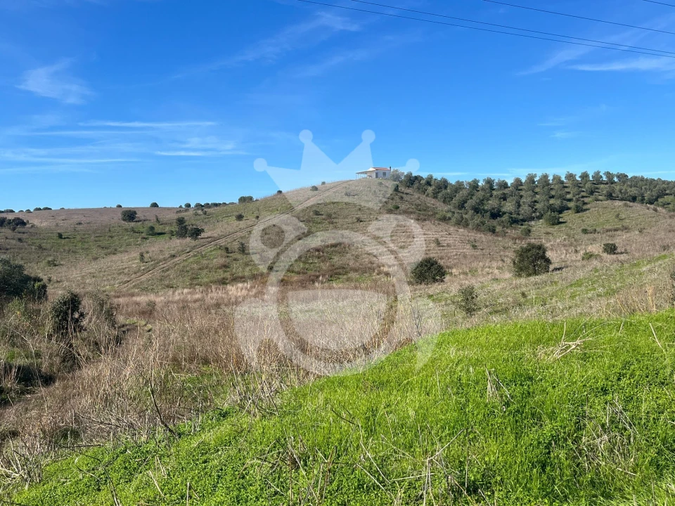 Terreno para Venda em Ervidel Foto 11