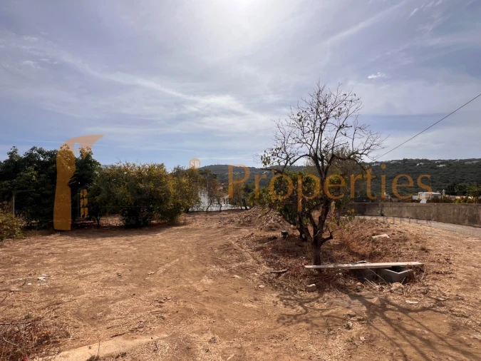 Terreno para Venda em São Brás de Alportel Foto 7