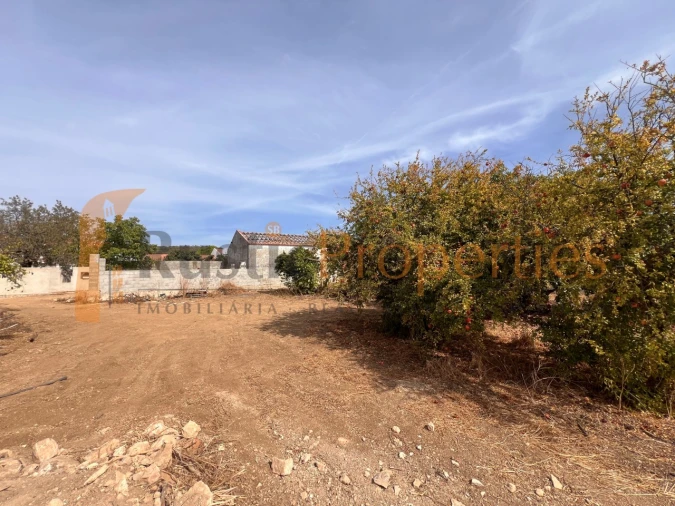 Terreno para Venda em São Brás de Alportel Foto 8