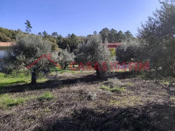 Terreno Agricola ou Rústico para Venda em Reguengo do Fetal