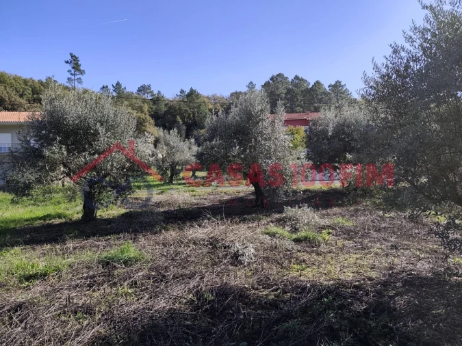 Terreno Agricola ou Rústico para Venda em Reguengo do Fetal