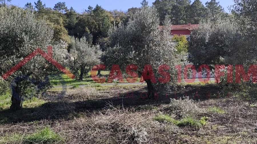 Terreno Agricola ou Rústico para Venda em Reguengo do Fetal