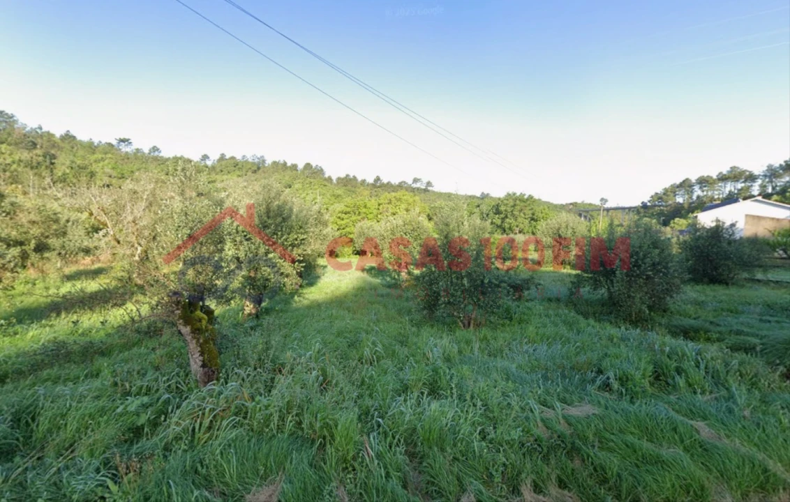 Terreno Agricola ou Rústico para Venda em Reguengo do Fetal Foto 3