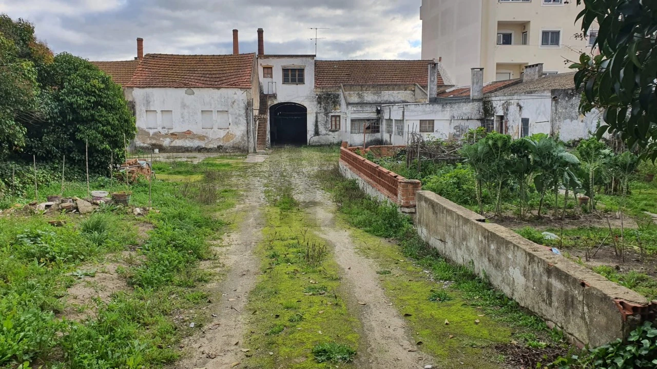 Terreno para Venda em Montijo e Afonsoeiro Foto 17