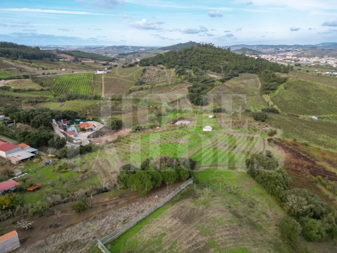 Terreno Agricola ou Rústico para Venda em Azueira e Sobral da Abelheira Foto 1