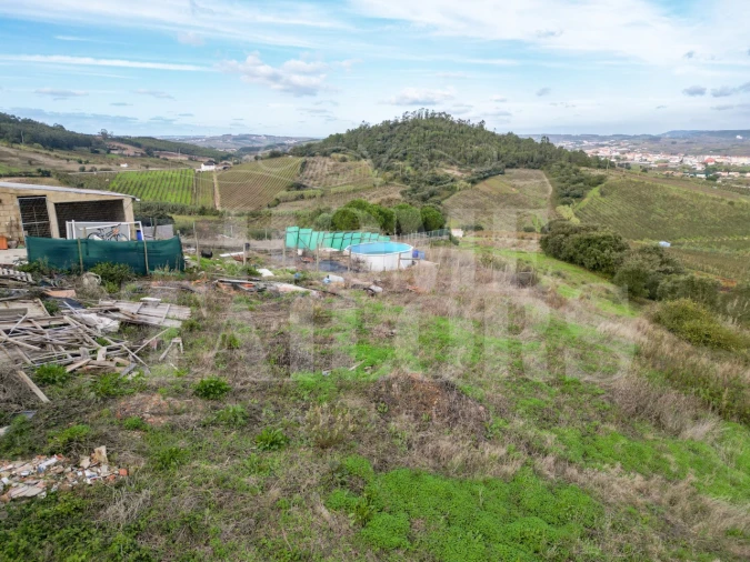 Terreno Agricola ou Rústico para Venda em Azueira e Sobral da Abelheira Foto 8