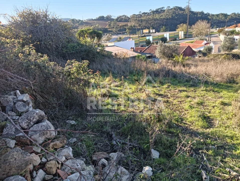 Terreno para Venda em Lousa Foto 5