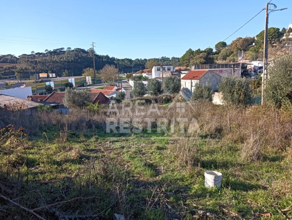Terreno para Venda em Lousa Foto 6
