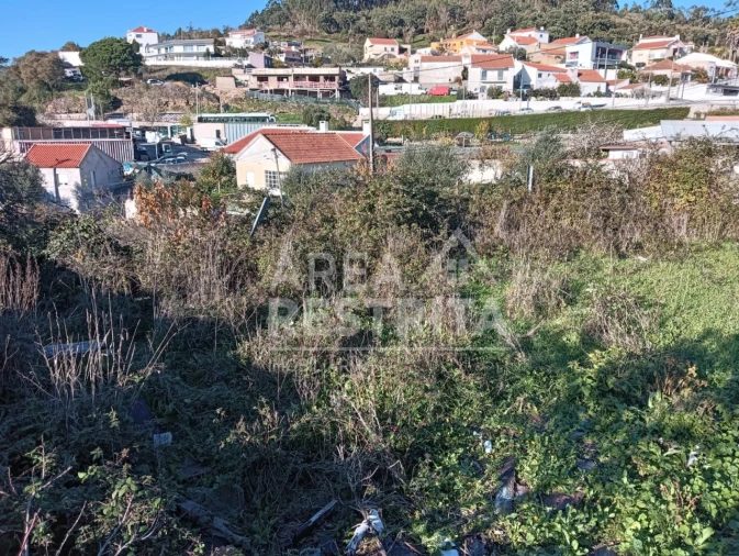 Terreno para Venda em Lousa Foto 4