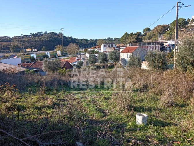 Terreno para Venda em Lousa Foto 6