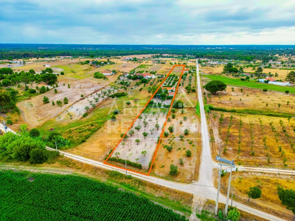 Moradia T3 para Venda em Canha Foto 3